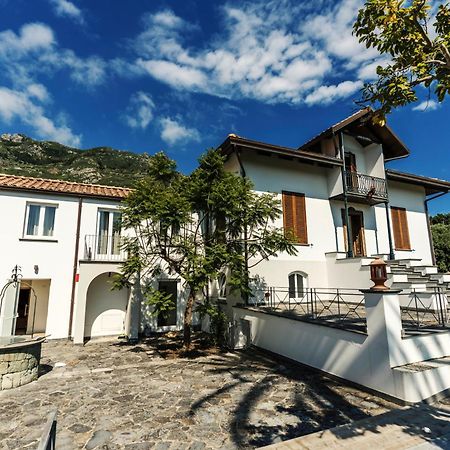 Tenuta Calitto Wine Resort E Spa Ischia Eksteriør billede