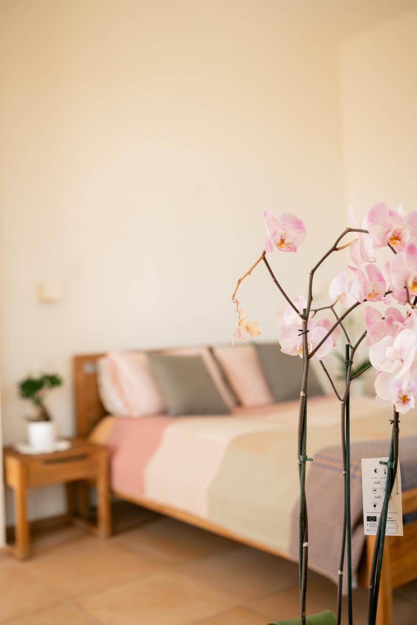 Tenuta Calitto Wine Resort E Spa Ischia Eksteriør billede