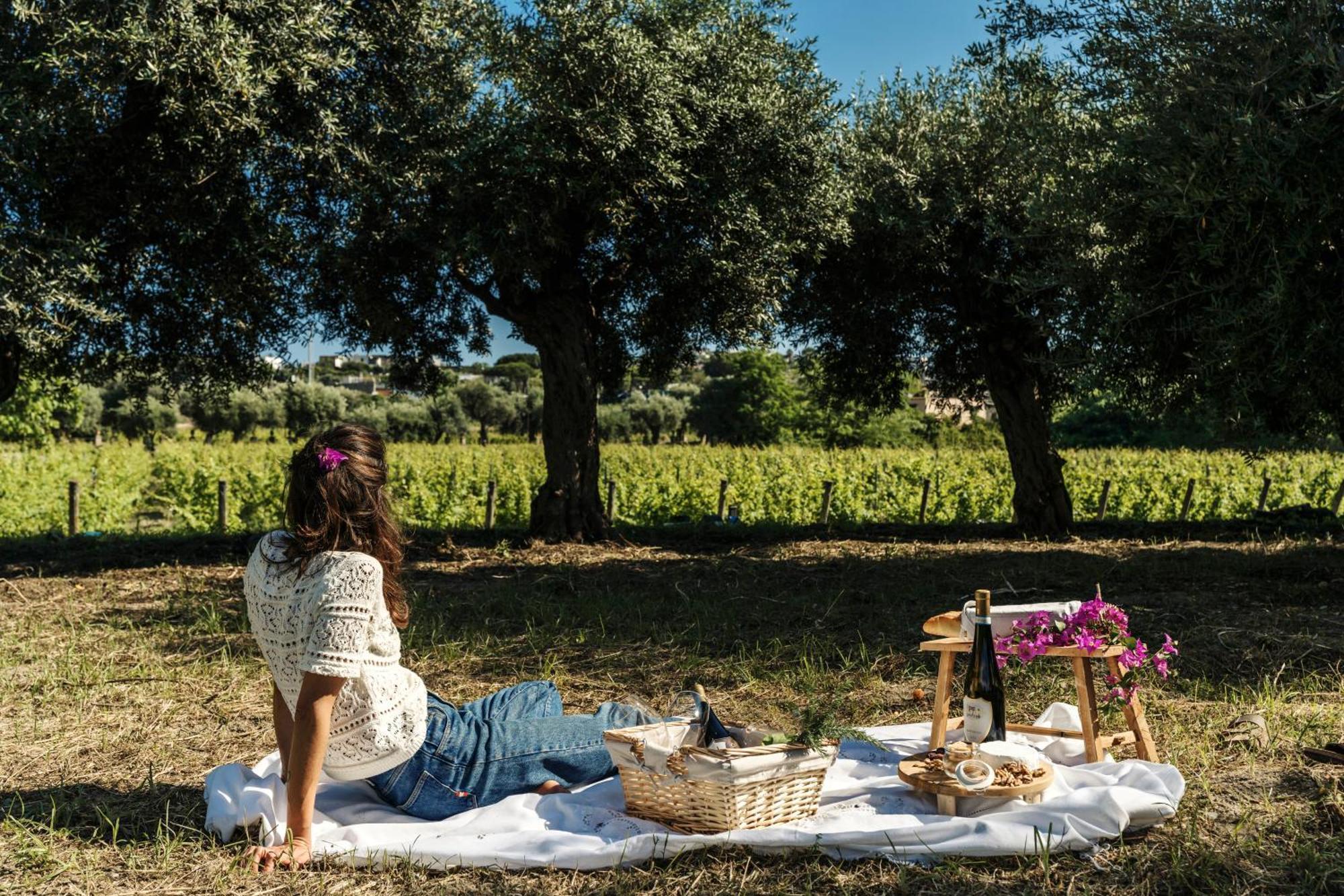 Tenuta Calitto Wine Resort E Spa Ischia Eksteriør billede