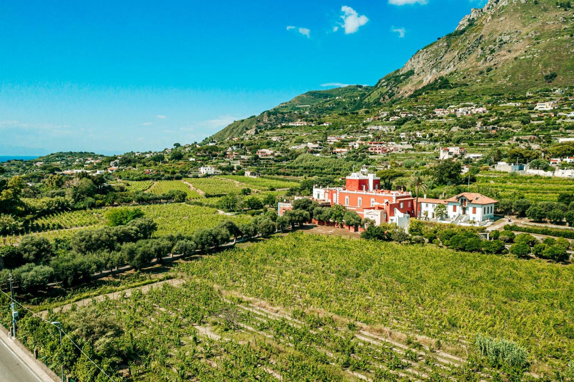 Tenuta Calitto Wine Resort E Spa Ischia Eksteriør billede