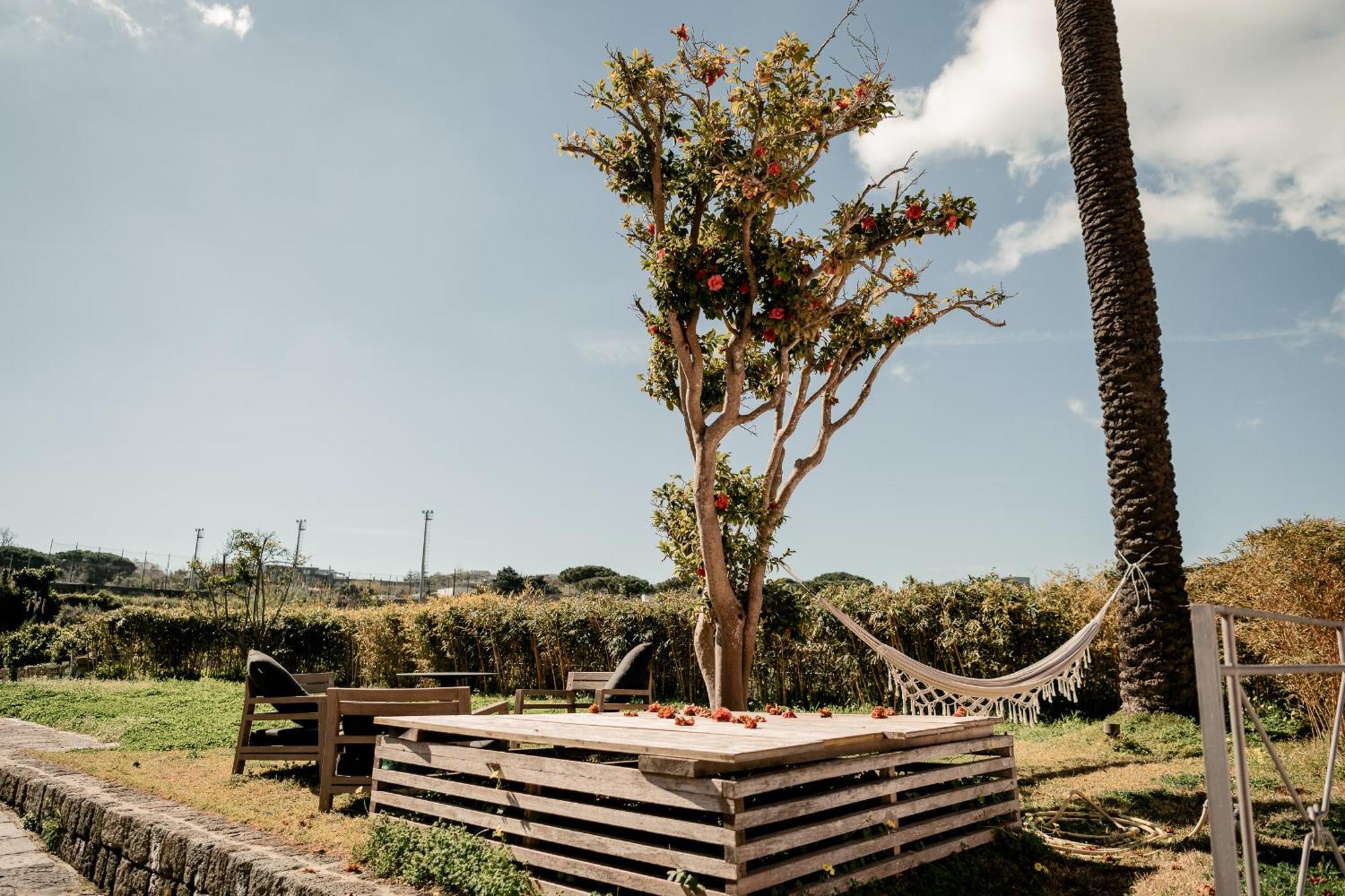 Tenuta Calitto Wine Resort E Spa Ischia Eksteriør billede
