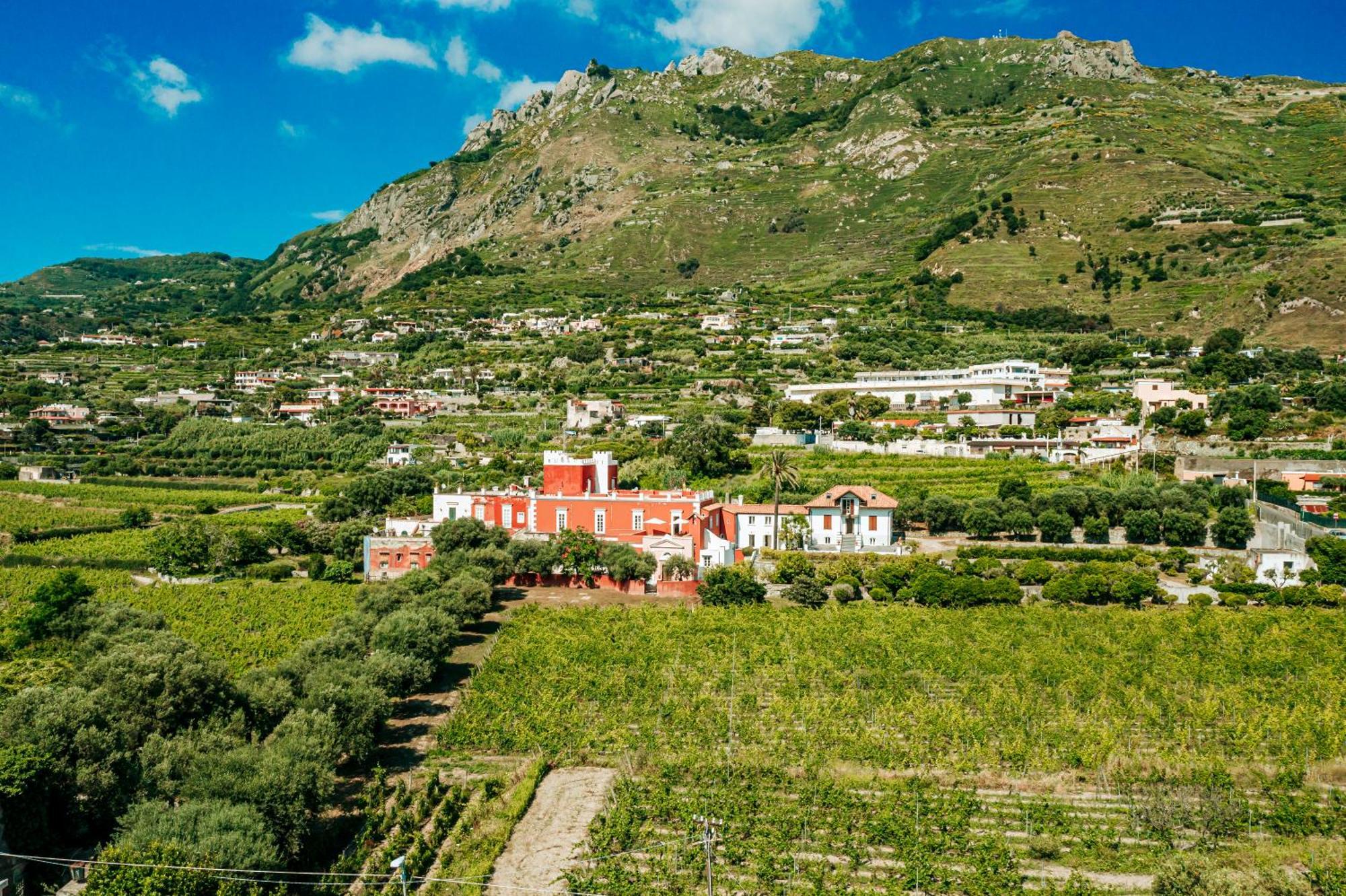 Tenuta Calitto Wine Resort E Spa Ischia Eksteriør billede