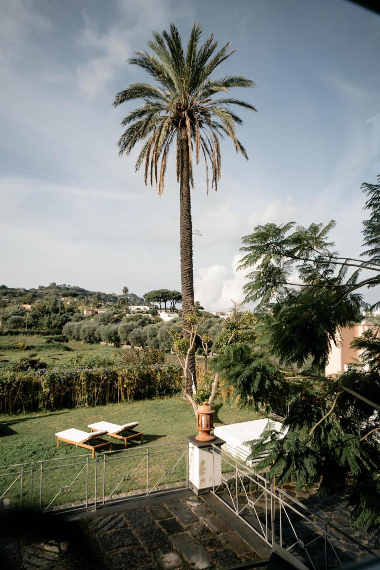 Tenuta Calitto Wine Resort E Spa Ischia Eksteriør billede