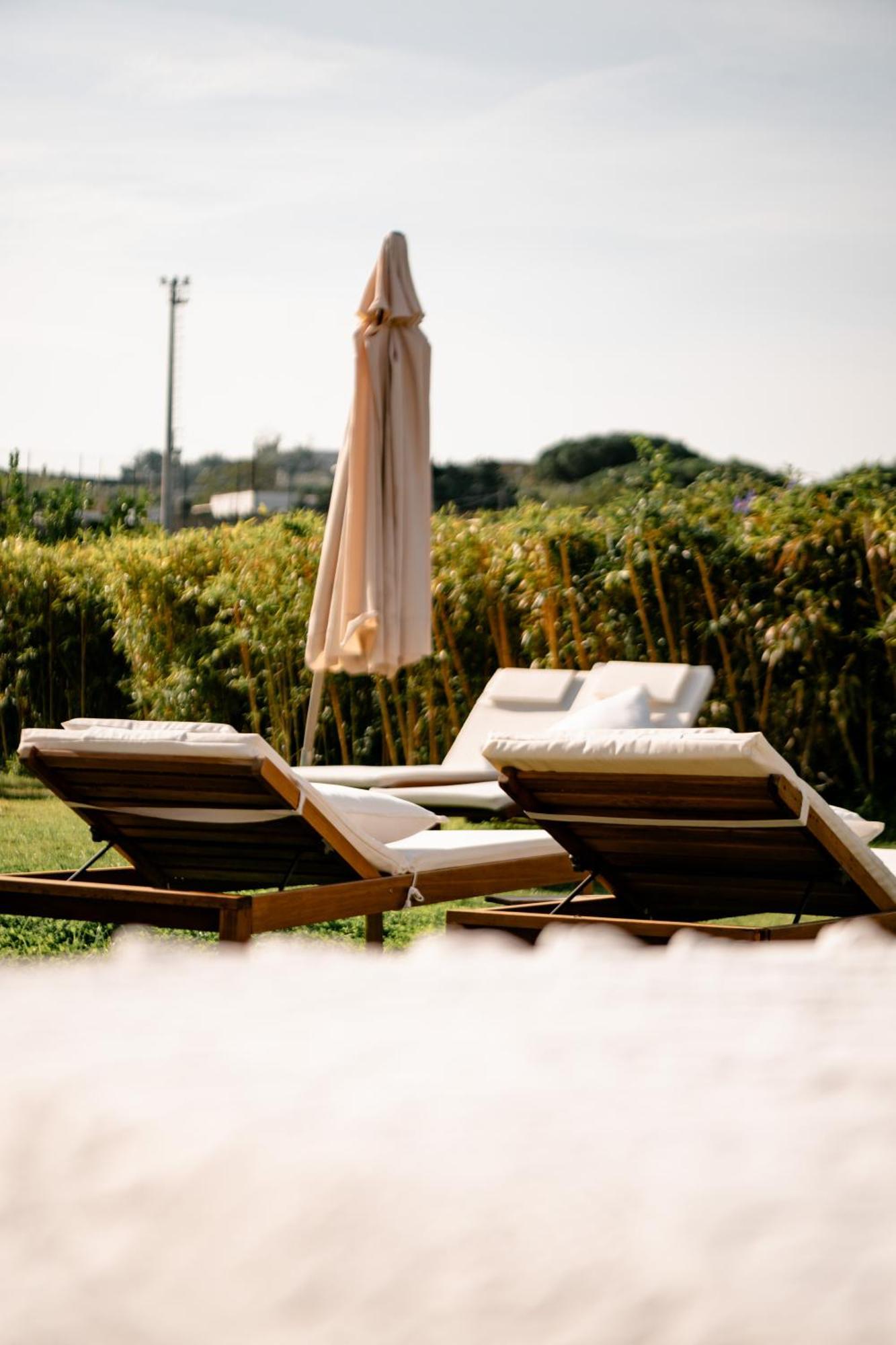 Tenuta Calitto Wine Resort E Spa Ischia Eksteriør billede